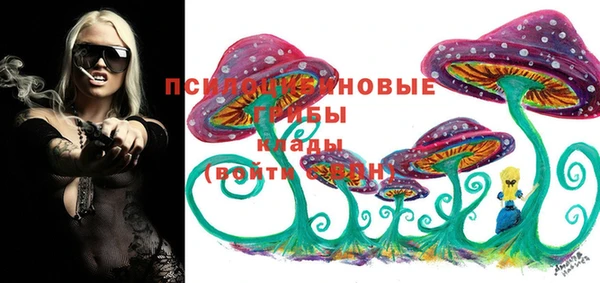 spice Алексеевка