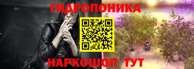 крисы Бийск