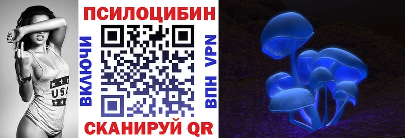 где можно купить   Кизилюрт  Псилоцибиновые грибы Psilocybe 