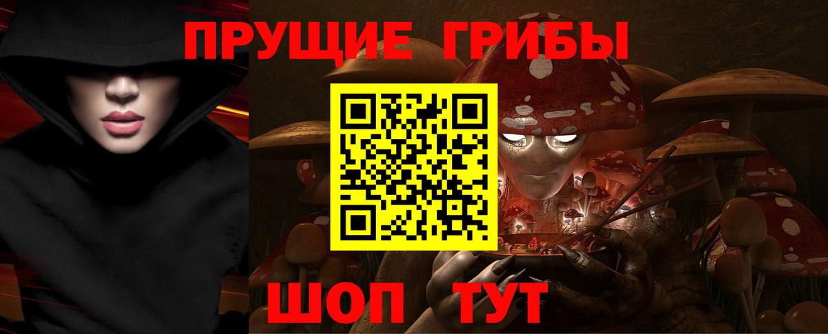ГАШ Кизилюрт